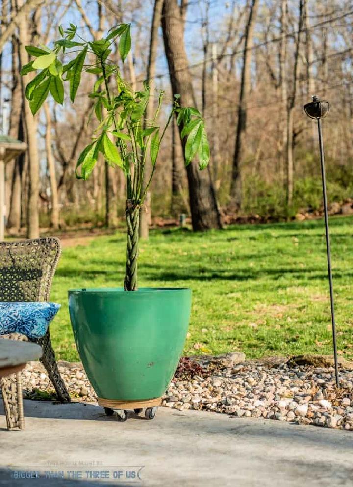 Plywood Plant Stand on Wheels