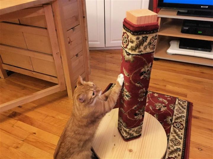 Scratcher Post for Cat