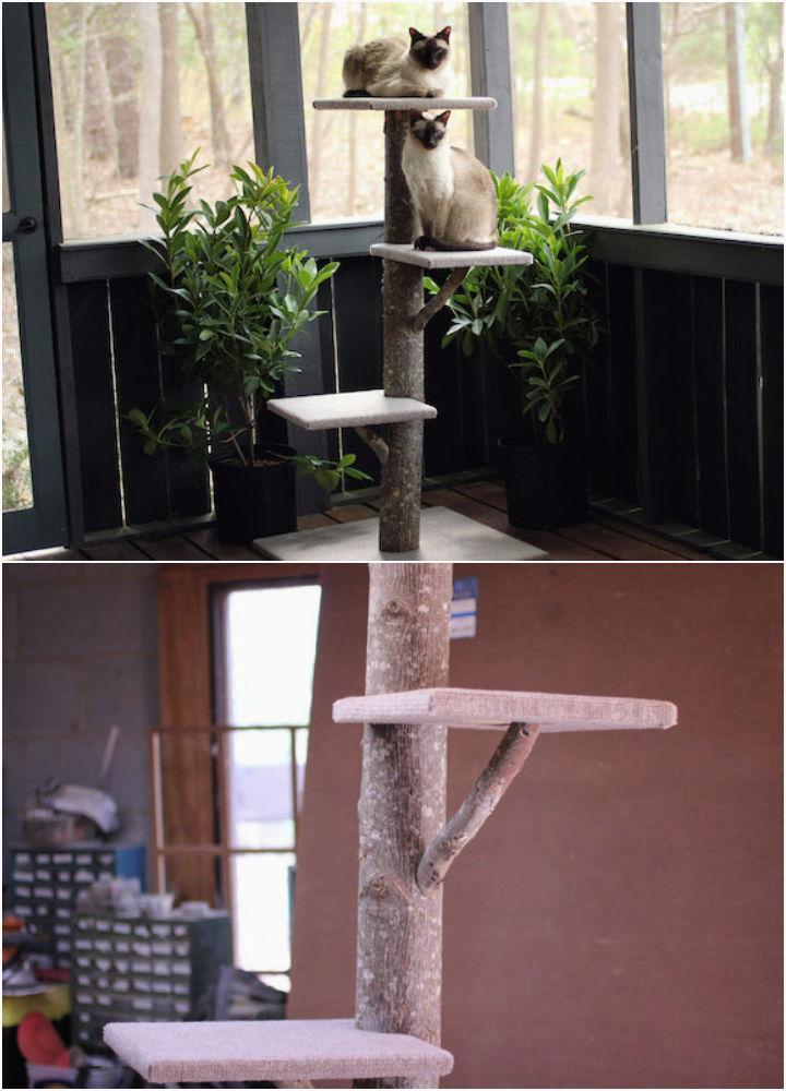 Simple Cat Tree Using Real Tree Branches