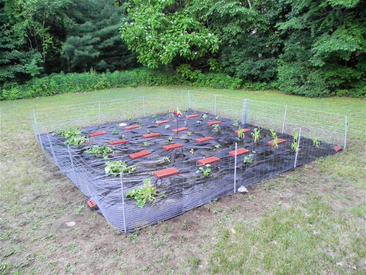 Simple Garden Fence