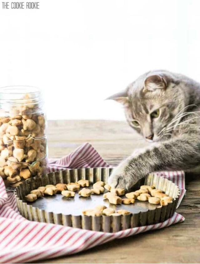 Three Ingredient Cat Treats