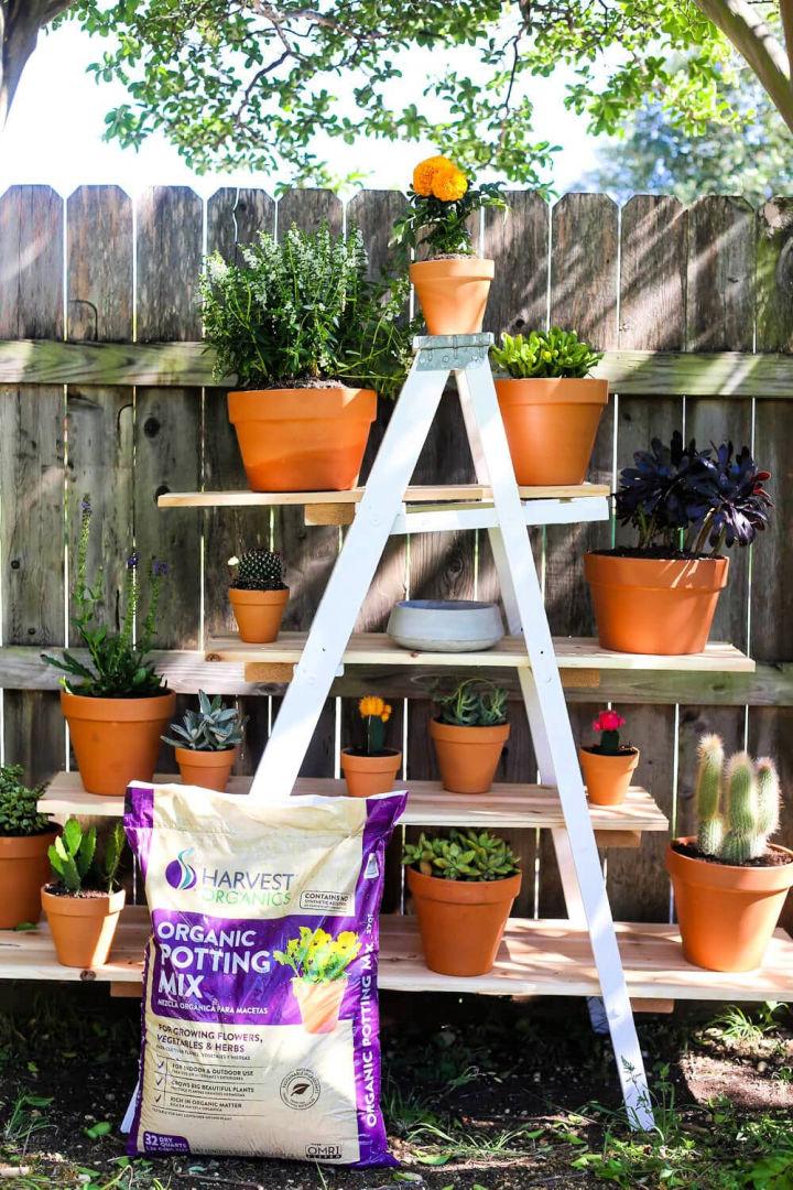 Tiered Plant Stand from Old Ladder Garden