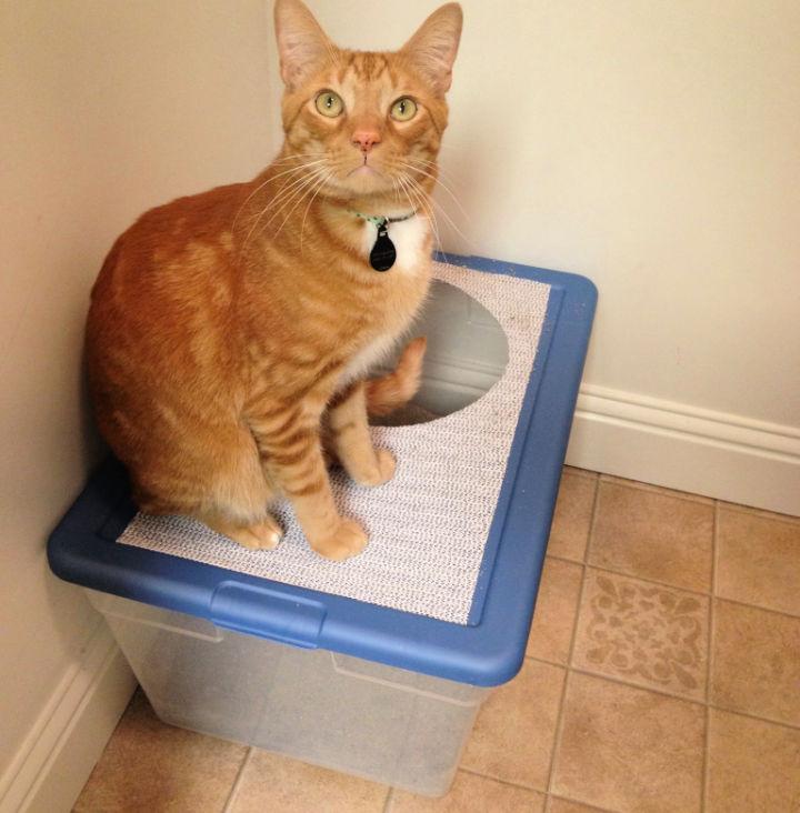 Top Entry Cat Litter Box