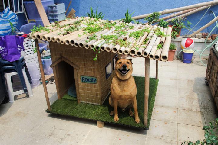 Tropical Dog House Plan