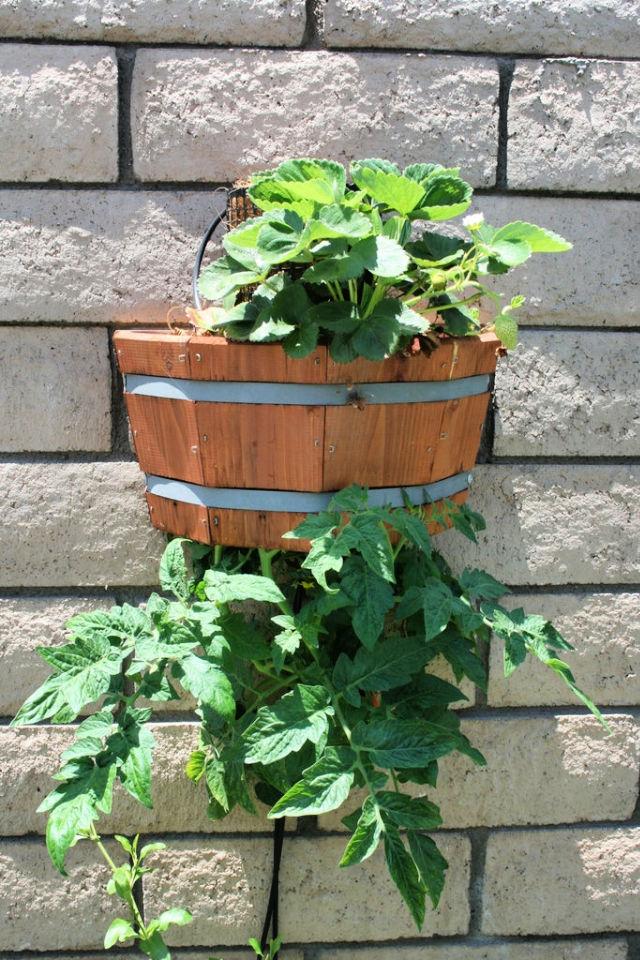 Upside Down Planter Box