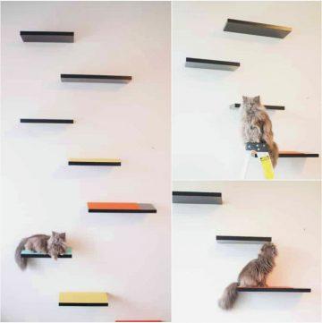 16 Creative DIY Cat Shelves and Cat Wall Ideas - Blitsy