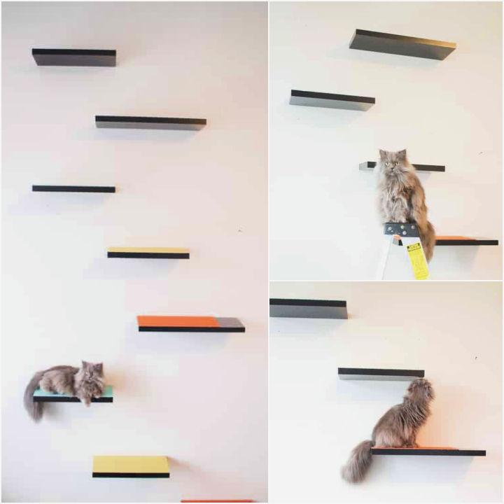 Homemade cat wall outlet shelves