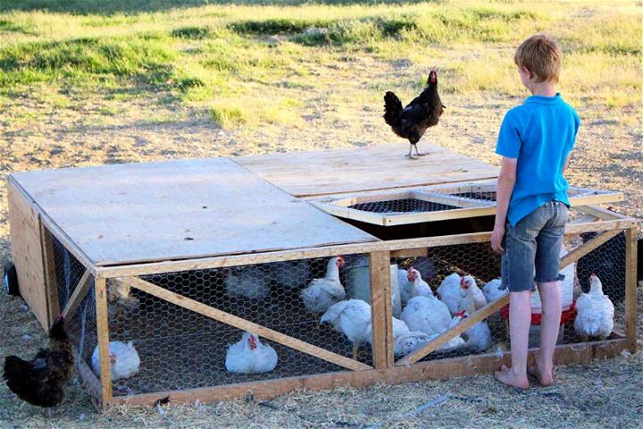 Build Your Own Chicken Tractor