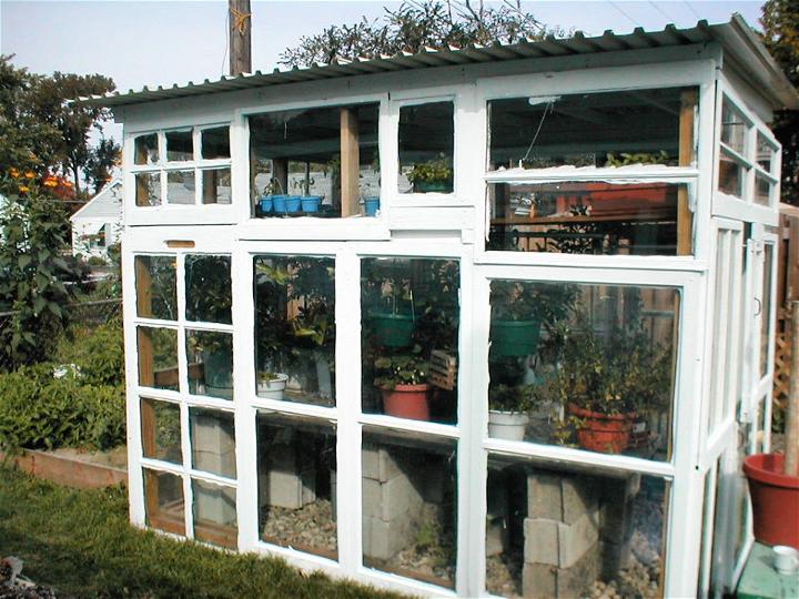 Construyendo un invernadero con ventanas viejas