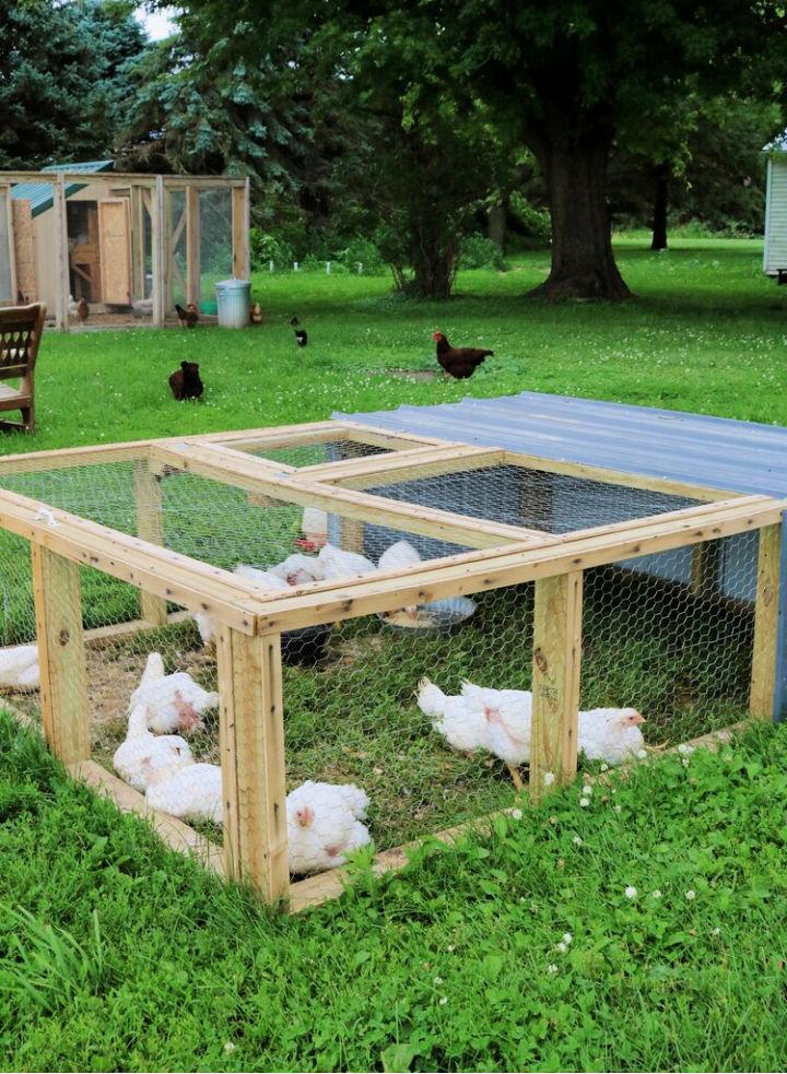 Building a Ratty Chicken Tractor