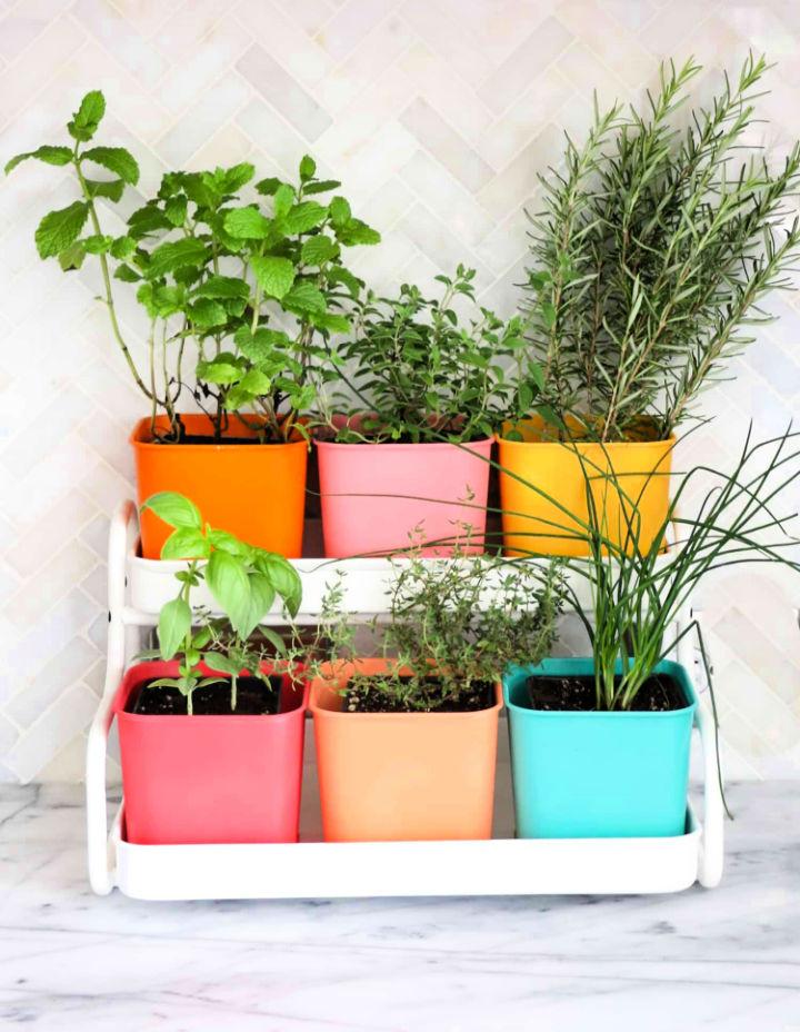 Colorful Indoor Herb Garden