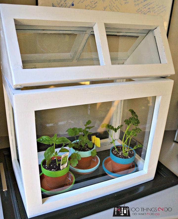DIY Indoor Tabletop Greenhouse