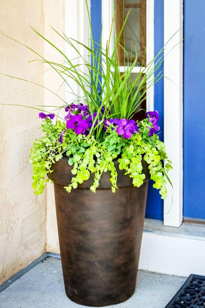 Flowers to Plant in Tall Pots