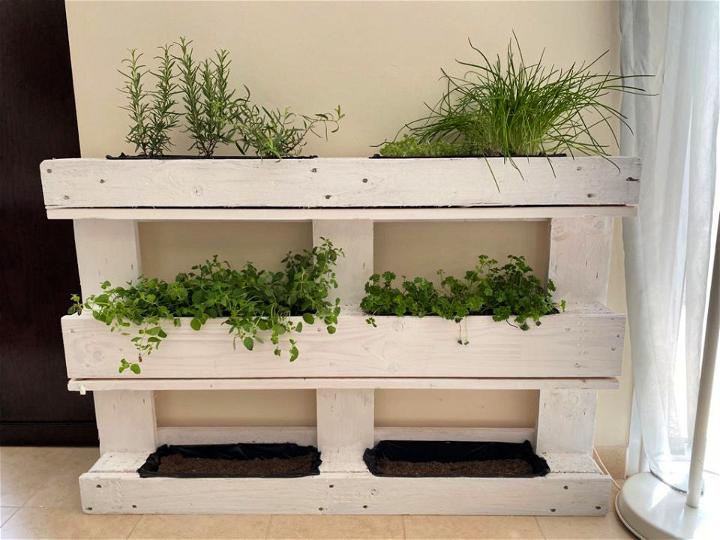 Herb Garden Using Wooden Pallet