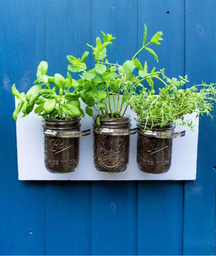 How to Make a Mini Herb Garden
