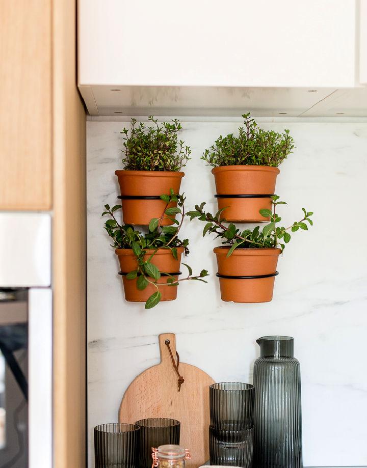 Indoor Herb Wall Garden