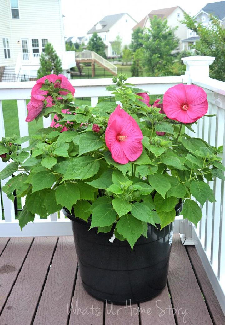 Large Flower Pot Planter