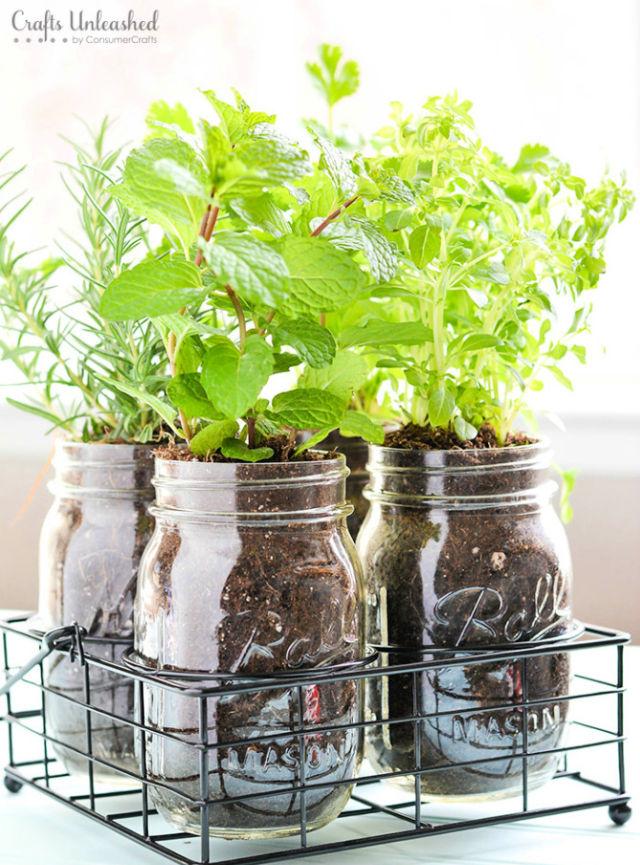 Food Storage Basics - Joybilee® Farm, DIY, Herbs, Gardening