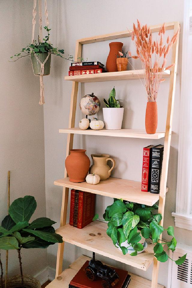 Modern Decorative Ladder Shelf for Under $25