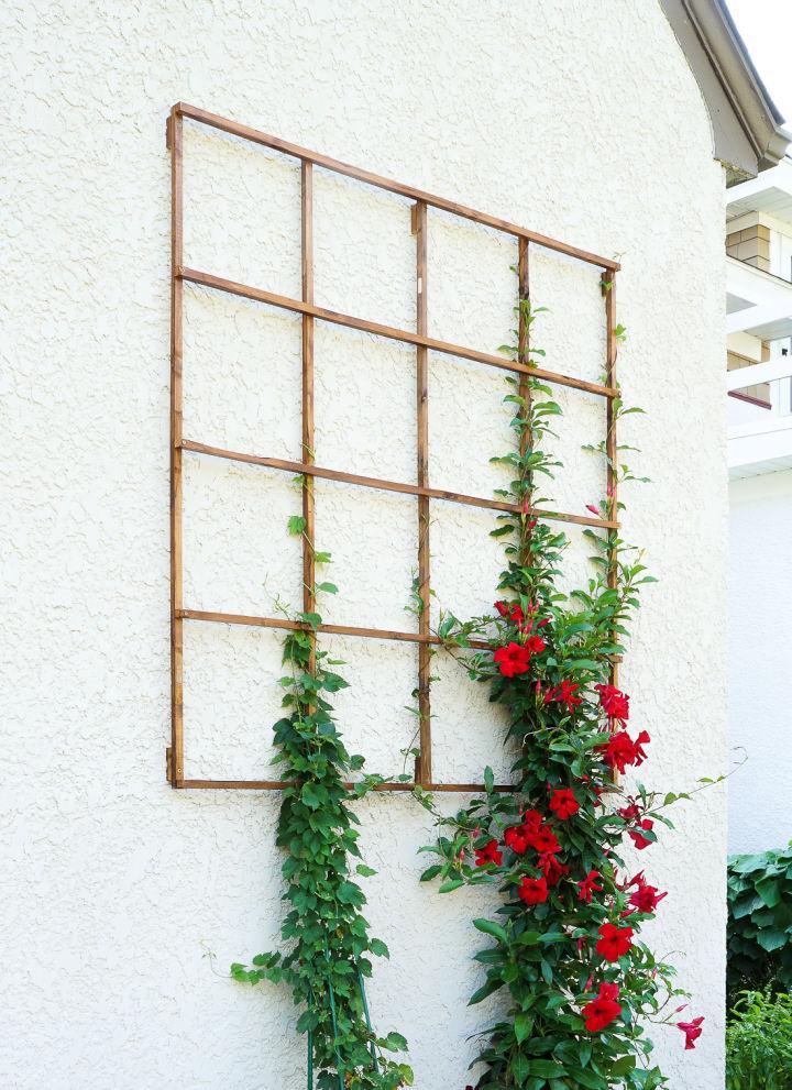 Modern Grid Trellis from Garden Stakes