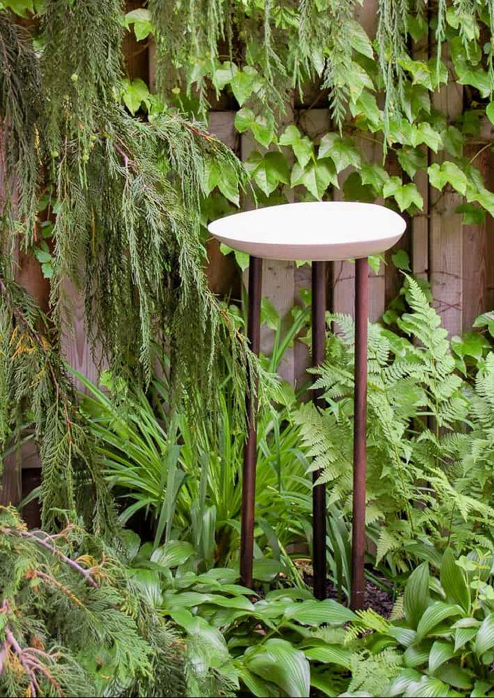 Modern Organic Bird Bath