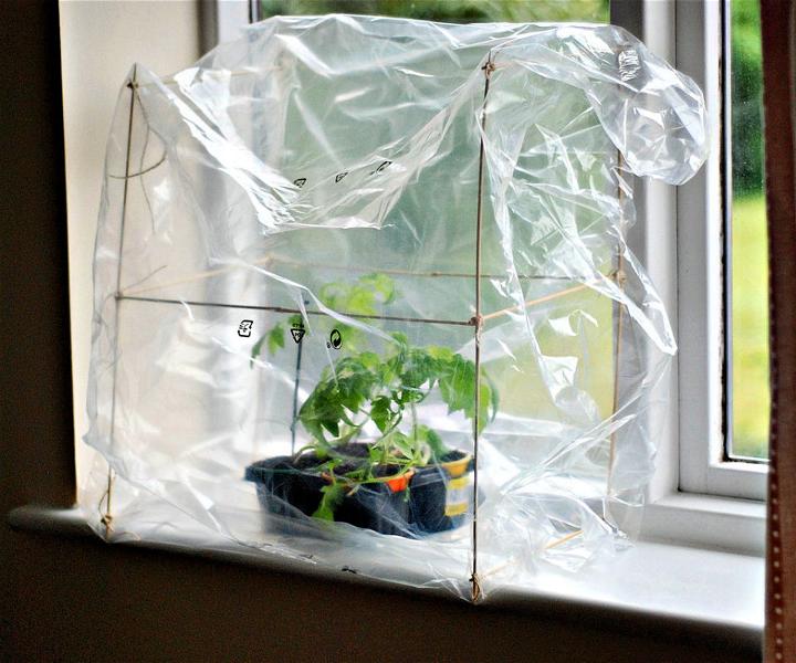 No budget Windowsill Indoor Greenhouse