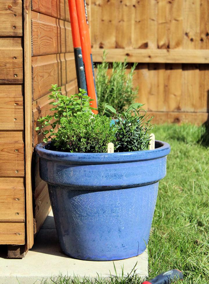 Plant Pot Herb Garden