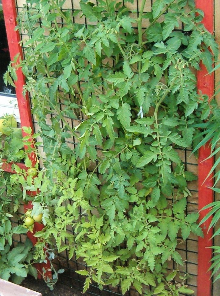 Space saving Vertical Garden