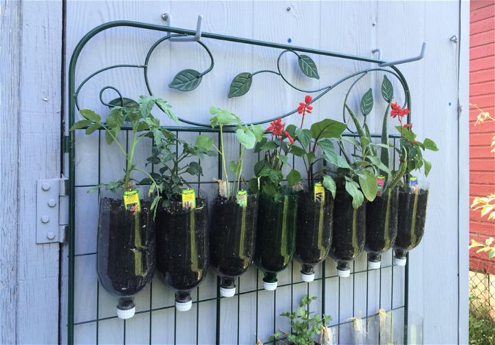 Turn Soda Bottles into Vertical Garden