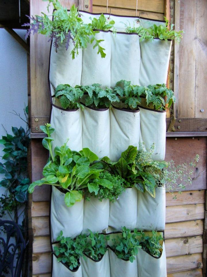 Vegetable Garden from Shoe Organizer