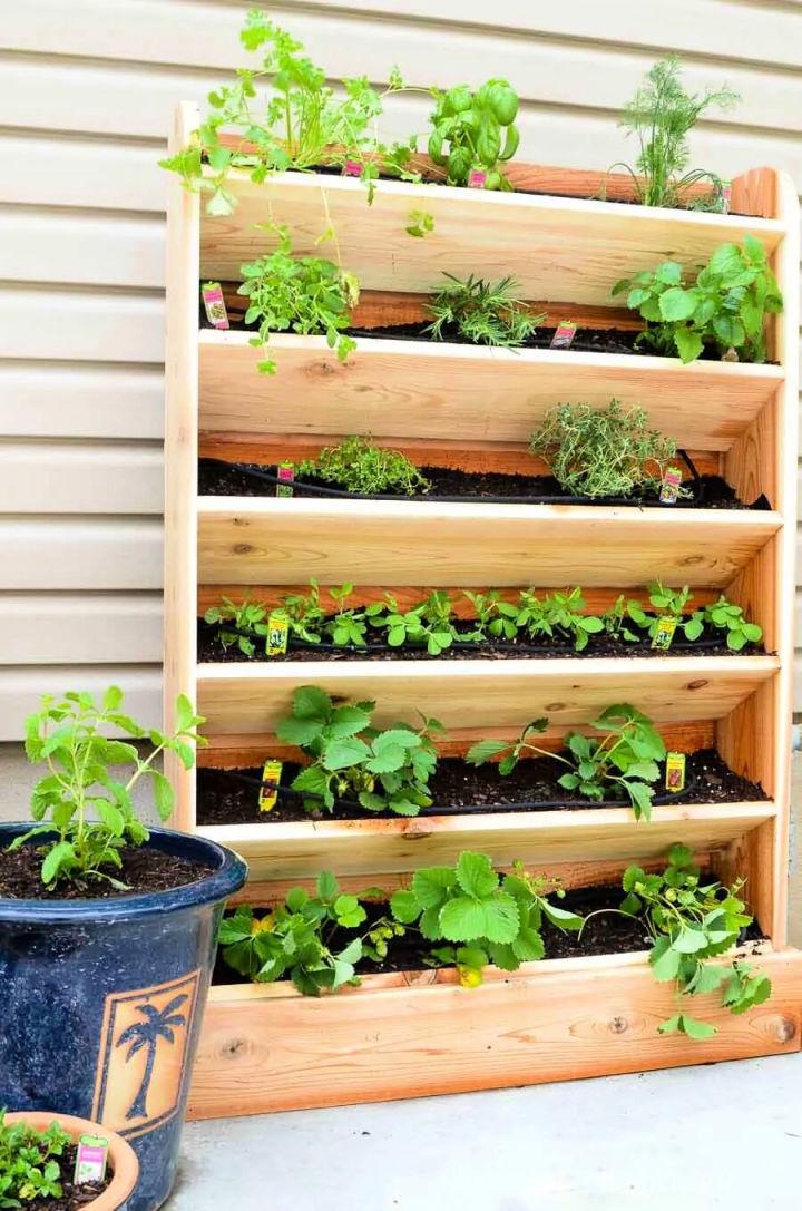 Vertical Garden with Drip Watering System