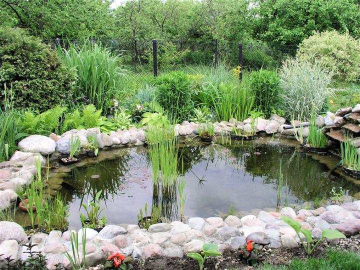 Best DIY Garden Fish Pond