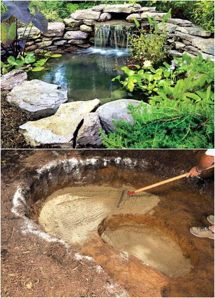 Build Your Own Pond on a Budget