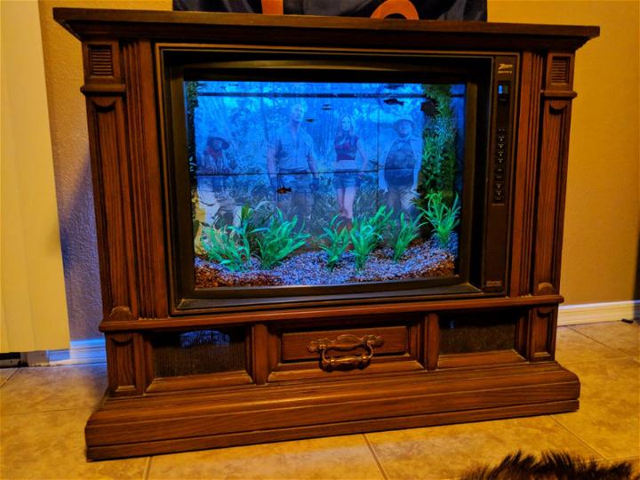 How to Build a TV Fish Tank