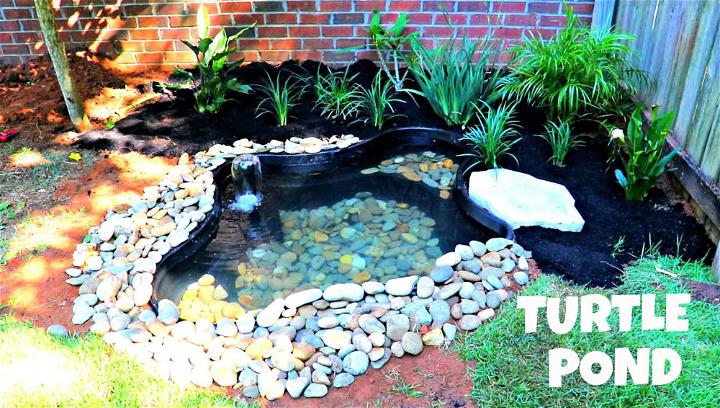 Building a Turtle Pond