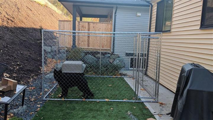 Chain Link Dog Kennel Run