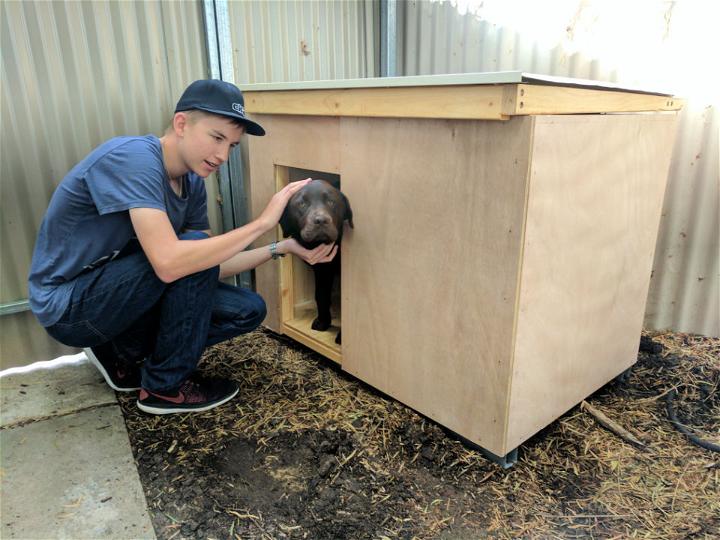 Cheap DIY Wooden Dog Kennel