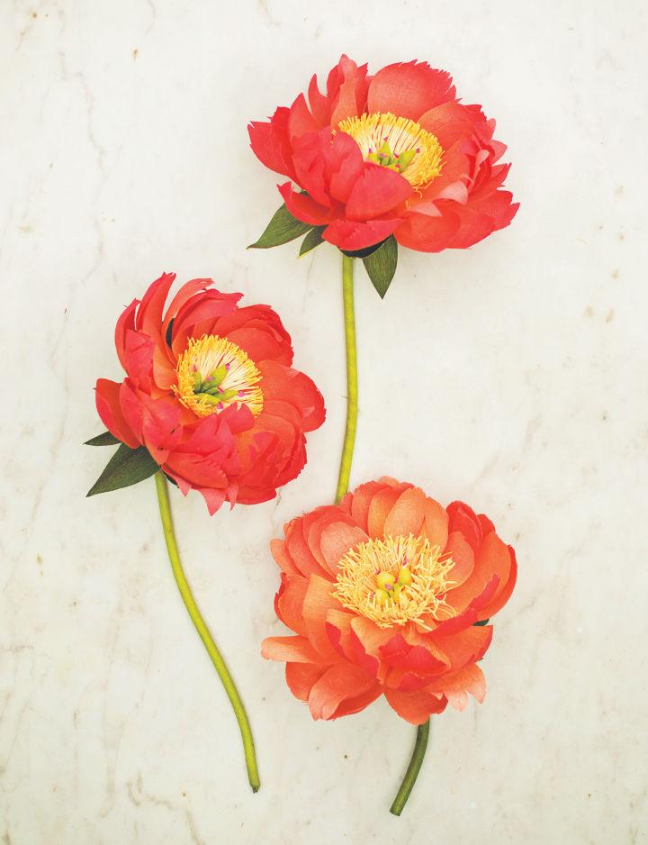 Coral Charm Peony Paper Flowers