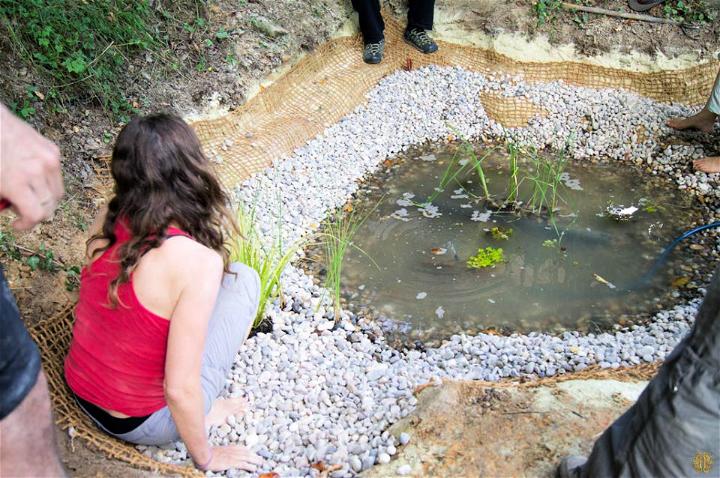 Create Your Own Natural Pond