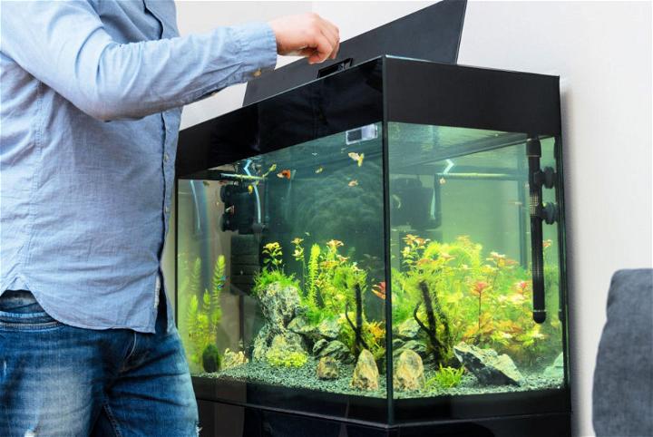 DIY Acrylic Fish Tank