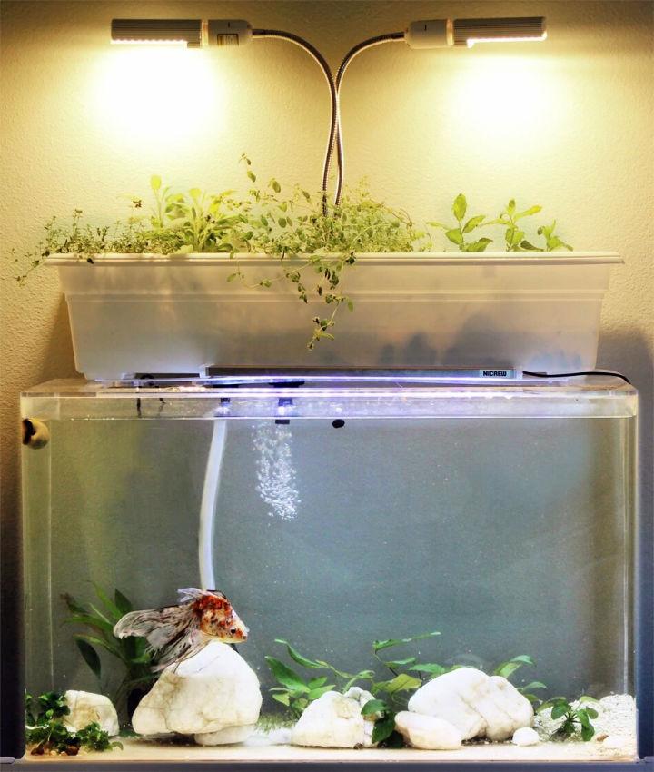 DIY Aquaponic Fish Tank Filter