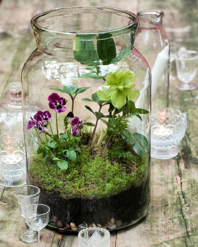 DIY Glass Jar Indoor Terrarium