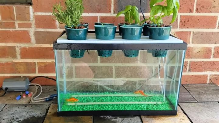 DIY Hydroponic Aquarium