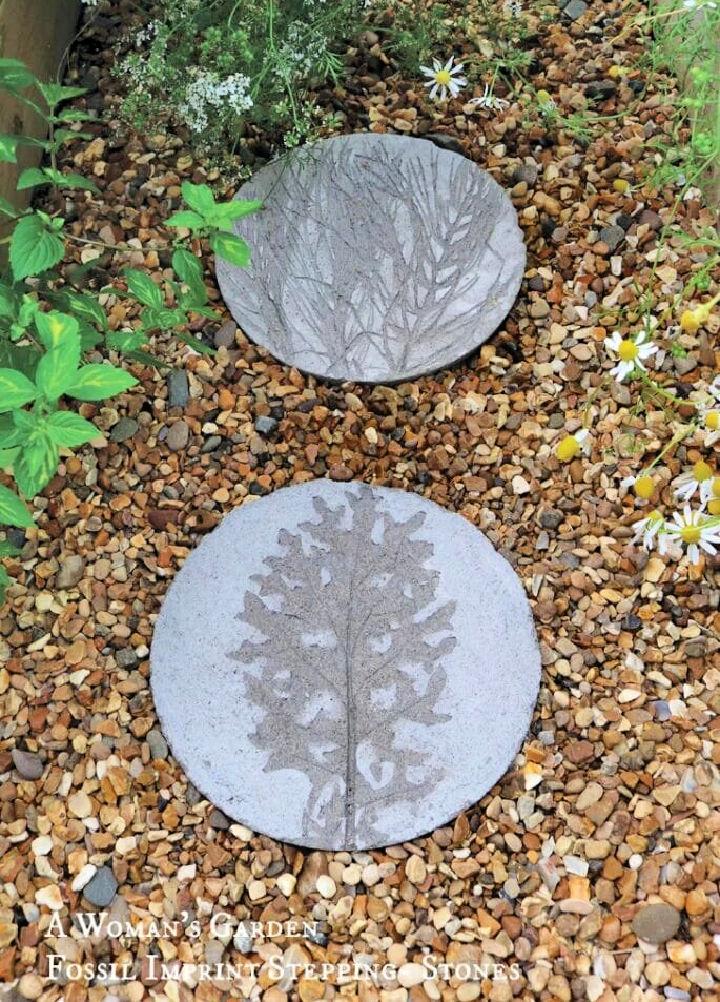 Fossil Imprint Stepping Stones