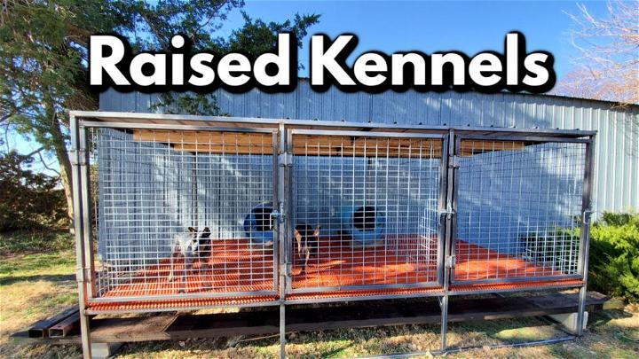 Professional Raised Dog Kennel