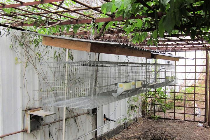 Rabbit Hutch With Suspended Wire Cage