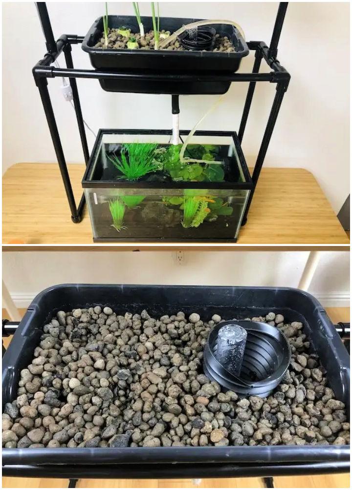 10 gallon Aquarium Into an Aquaponics System