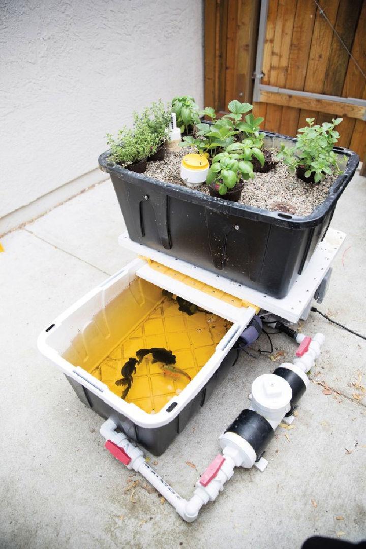 Aquaponic Garden with Arduino