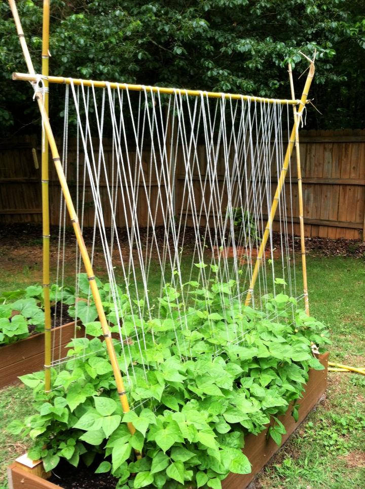 Bamboo Cucumber Trellis