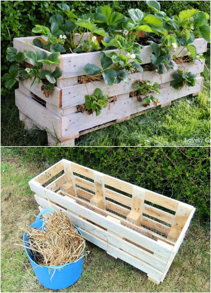 Better Strawberry Pallet Planter